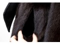 Striking Dark Brown Collared And Bellted Long Fur Coat