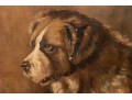 Signed N. Drayton Oil On Canvas, Portrait Of A Saint Bernard In Profile