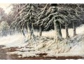 Signed Donna Large Oil On Canvas, Winter Landscape