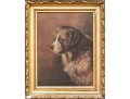 Signed N. Drayton Oil On Canvas, Portrait Of A Saint Bernard In Profile