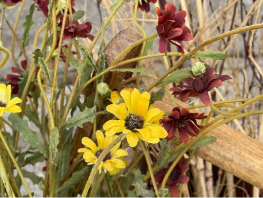 Asian Wooden Container 