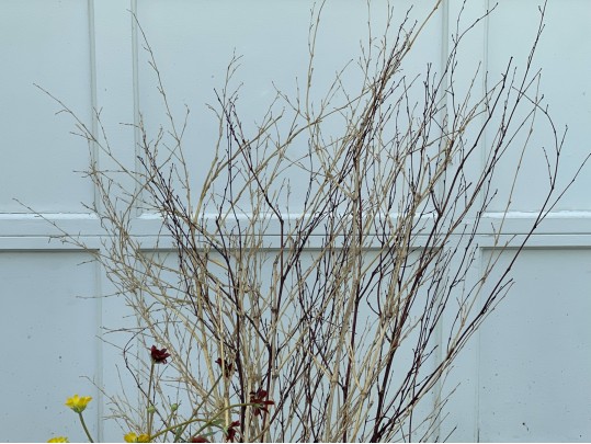 Asian Wooden Container 