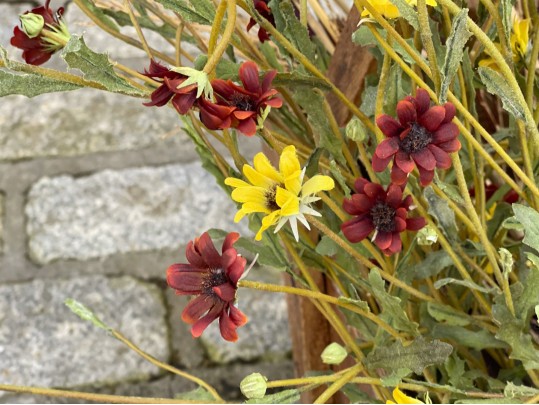 Asian Wooden Container 