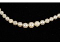 Natural Graduated Pearl Necklace And Bracelet