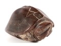Decorative Heavy Stone Snapping Turtle
