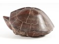 Decorative Heavy Stone Snapping Turtle