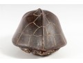 Decorative Heavy Stone Snapping Turtle