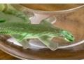 Gorgeous French Lalique 