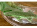 Gorgeous French Lalique 