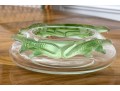 Gorgeous French Lalique 