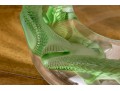 Gorgeous French Lalique 