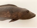 Detailed Hand-Carved Wood Fish Sculpture