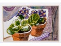 Limmy Conway Watercolor Still Life Of Planters On Window Sill, 1995