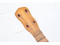 Vintage Decorated Banjo