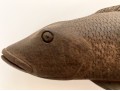Detailed Hand-Carved Wood Fish Sculpture
