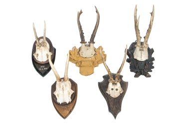 Black Rock Galleries