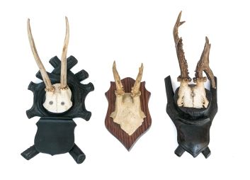 Black Rock Galleries