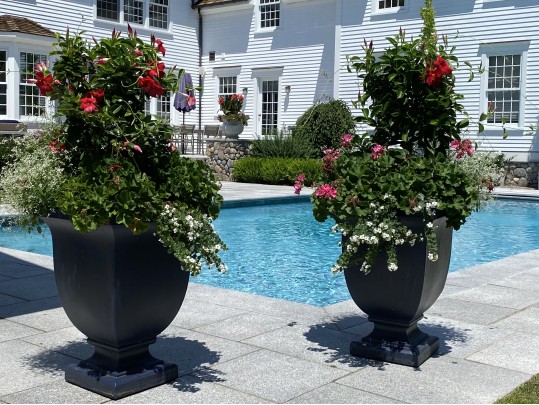 Pair Of Frontage Neoclassical Style Resin Footed Planters