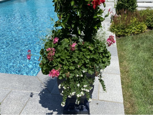 Pair Of Frontage Neoclassical Style Resin Footed Planters