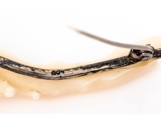 Beautiful White Branch Coral Brooch With 800 Silver Hardware