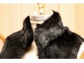 Giorgio Brato Black Fur Vest With Wool Jacquard Interior