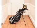 Complete Titleist Golf Set – Bag With Mixed Clubs From TaylorMade, Cobra, Nike, Mizuno & More