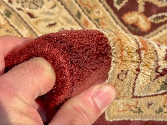 Wool Carpet, 11'-1/2