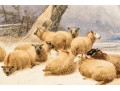 Thomas Sidney Cooper (UK, 1803- 1902) Watercolor, Winter Landscape With Sheep 