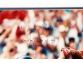 Steiner Sports Photofile David Cone Autographed Perfect Game Photographic Print