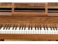 Zuckermann New York Piano #137-196