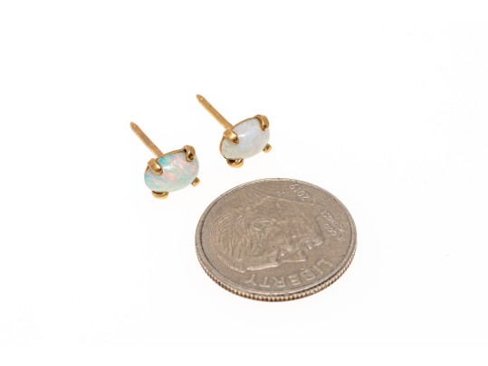 14k Yellow Gold Simple White Opal Stud Earrings