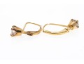 14k Yellow Gold Simple Moissanite Set Drop Earrings