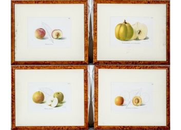 Black Rock Galleries