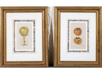 Black Rock Galleries