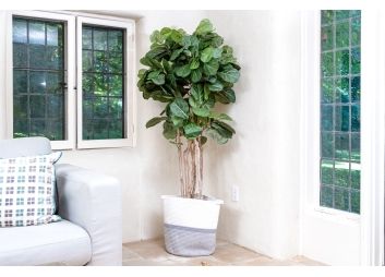 Black Rock Galleries