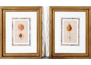 Black Rock Galleries