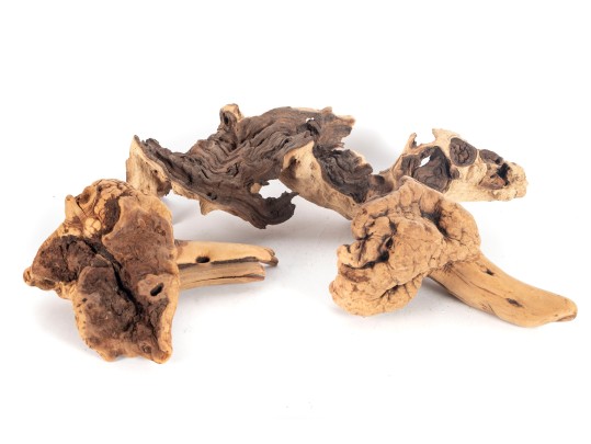 Collection Of Natural Driftwood Burl Pieces