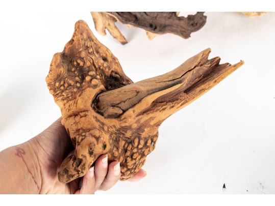 Collection Of Natural Driftwood Burl Pieces