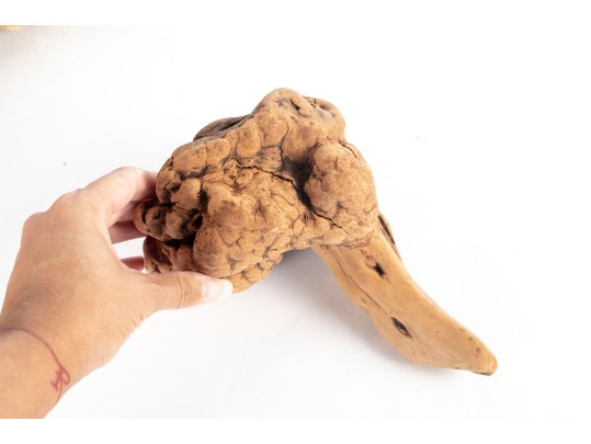 Collection Of Natural Driftwood Burl Pieces