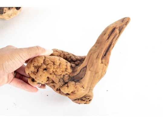 Collection Of Natural Driftwood Burl Pieces