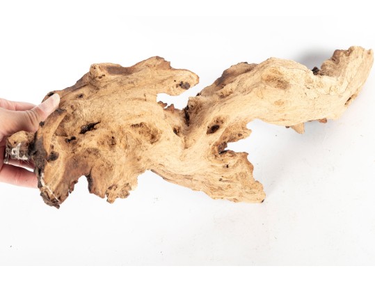 Collection Of Natural Driftwood Burl Pieces