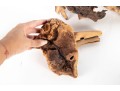 Collection Of Natural Driftwood Burl Pieces