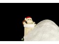 Vintage Christmas Ceramic Santa Claus House Lamp