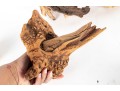 Collection Of Natural Driftwood Burl Pieces