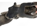 Two Decorative Resin Elk