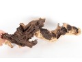Collection Of Natural Driftwood Burl Pieces