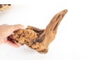 Collection Of Natural Driftwood Burl Pieces