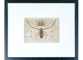 Black Rock Galleries