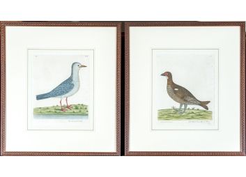 Black Rock Galleries