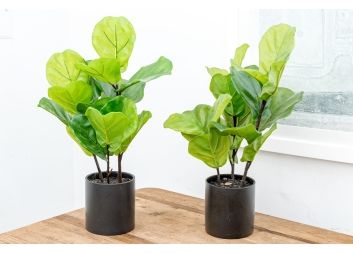 Black Rock Galleries